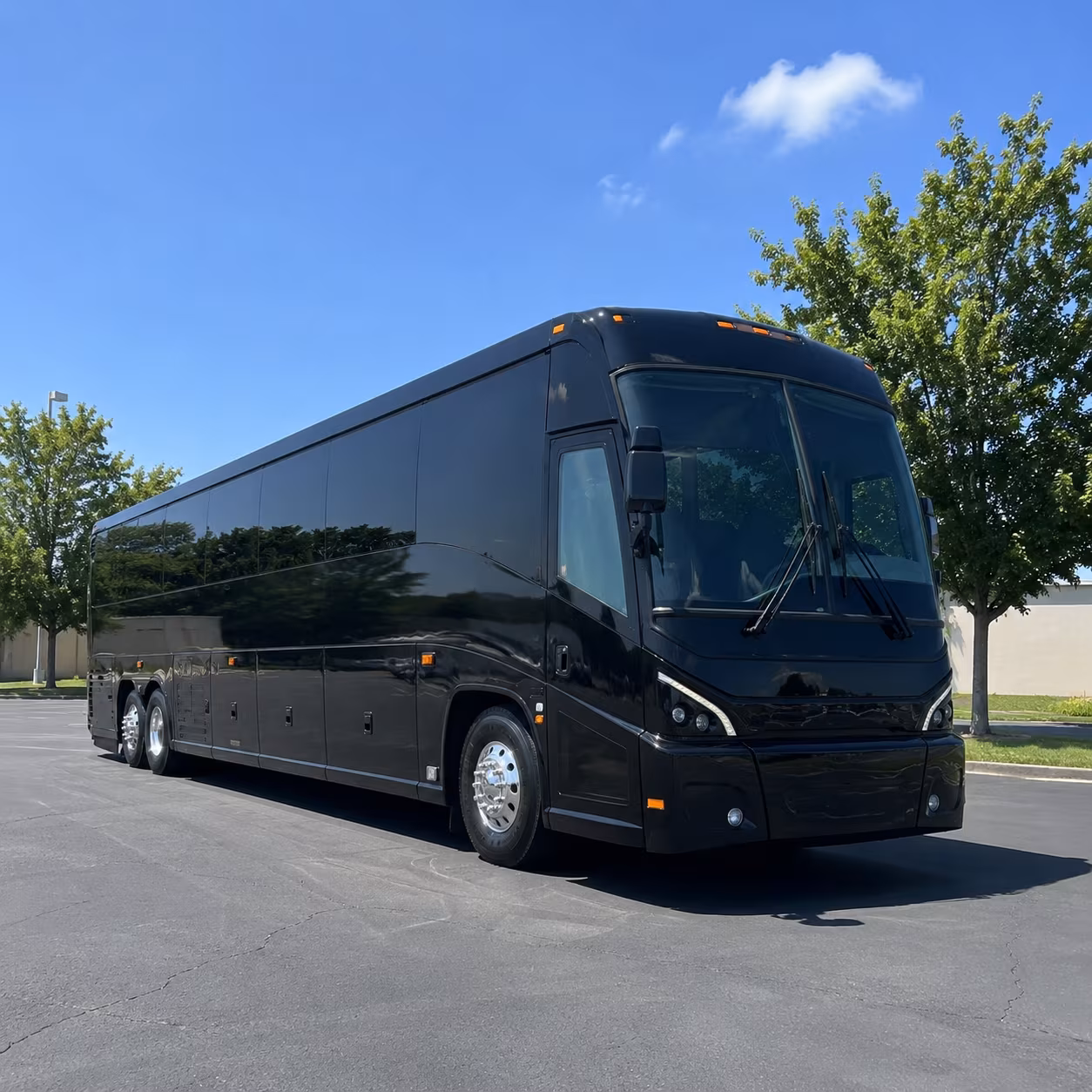 56 passenger charter bus