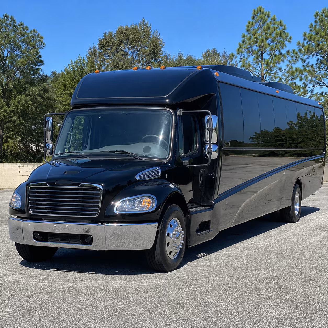 bellevue 15 passenger minibus