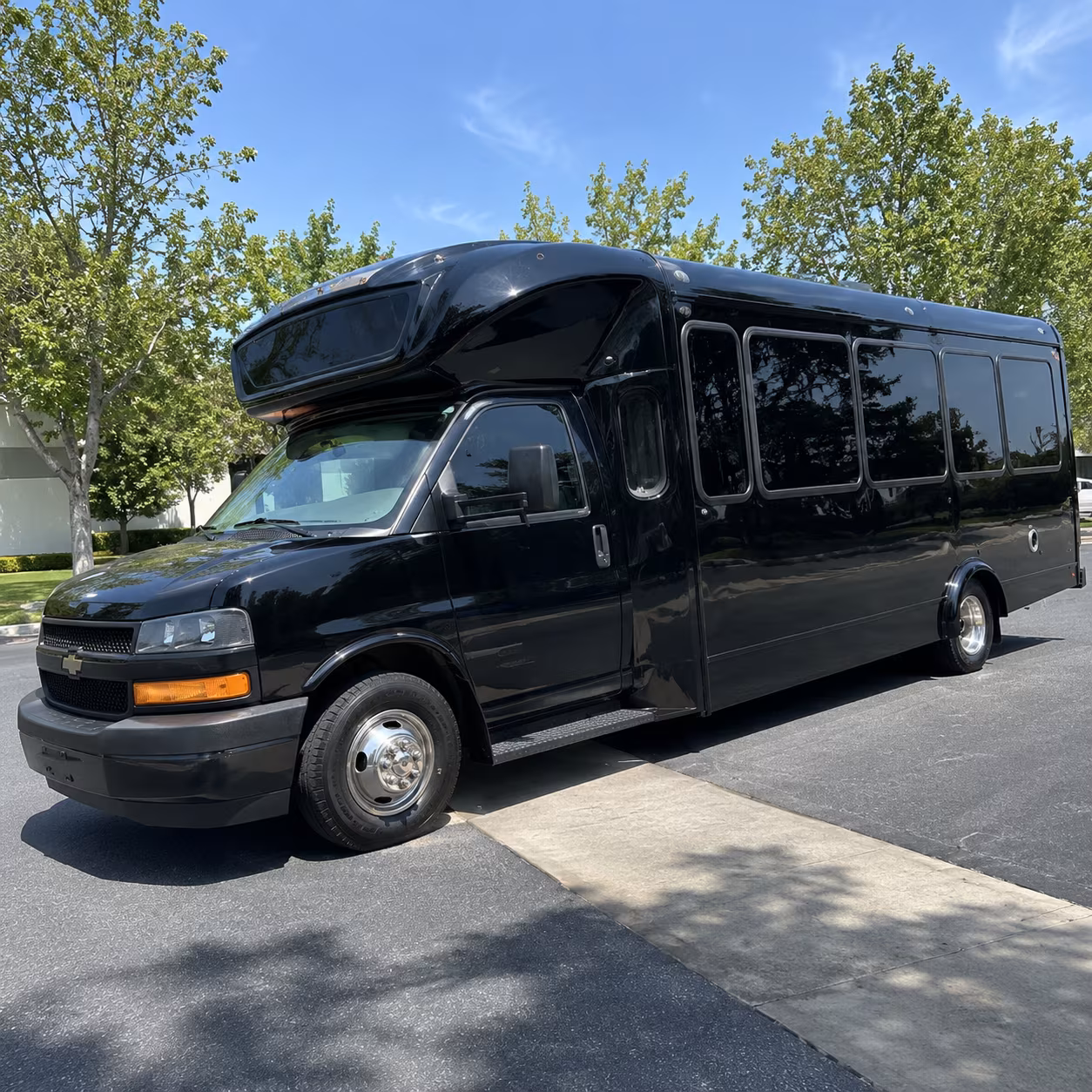 bellevue 15 passenger party bus