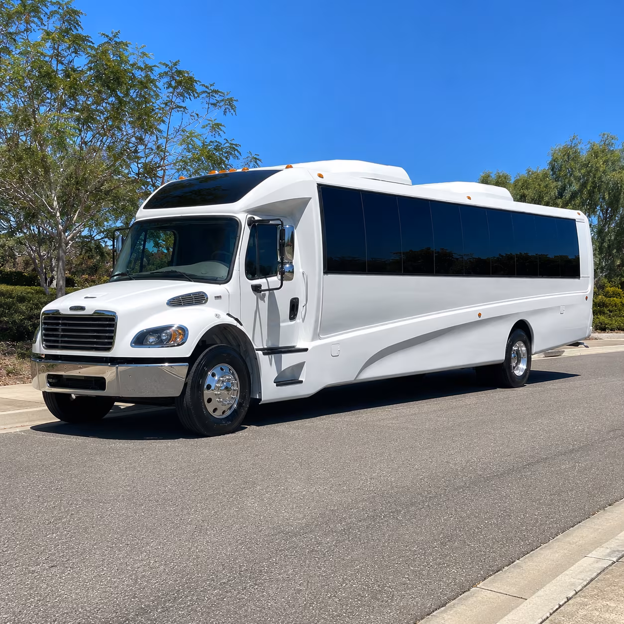bellevue 20 passenger minibus